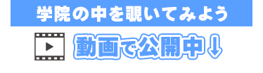 動画で公開中!