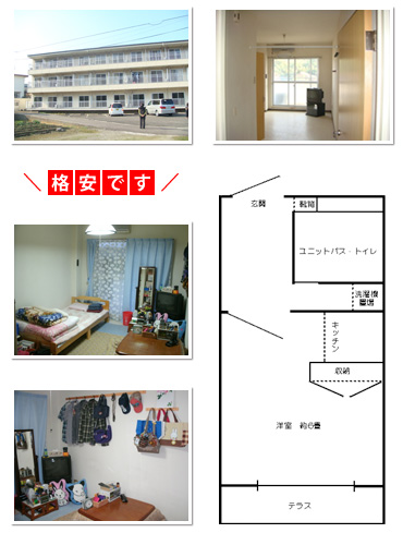 マンション